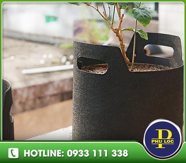 Túi vải không dệt trồng cây