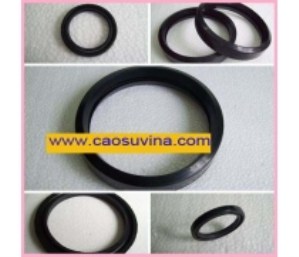 Cao su chịu nhiệt