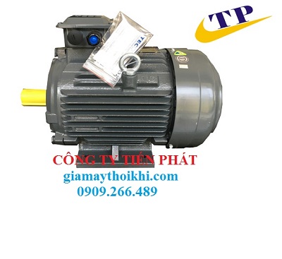 Động cơ điện TECO
