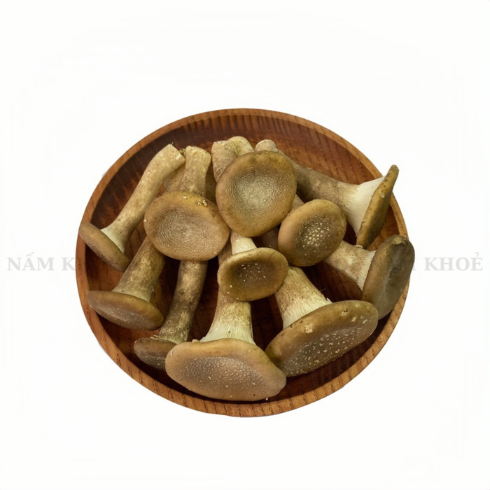 Nấm chân dài