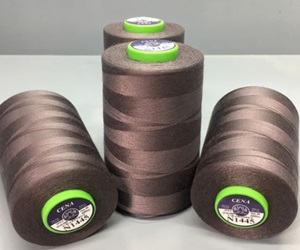 Chỉ May 100% Polyester (PPS)