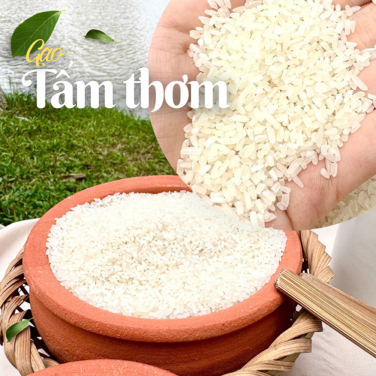 Gạo Tám Thơm