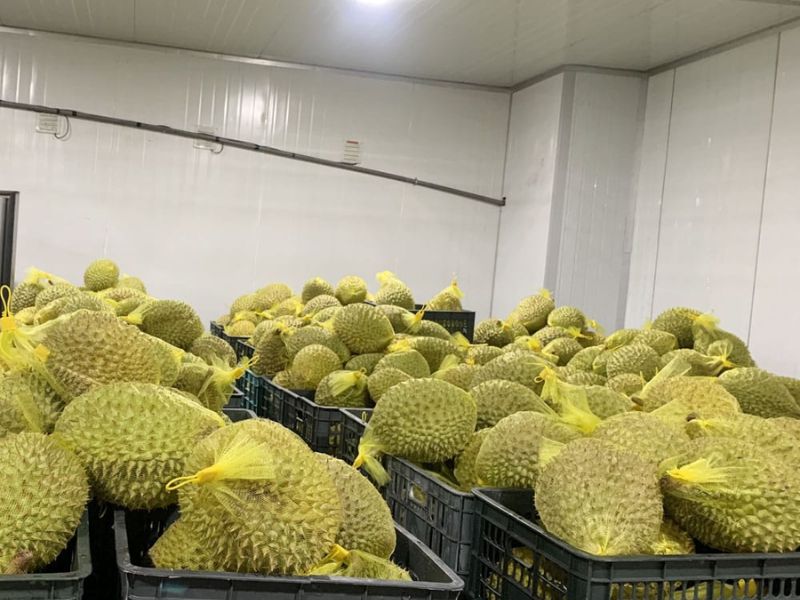 Kho lạnh bảo quản trái cây