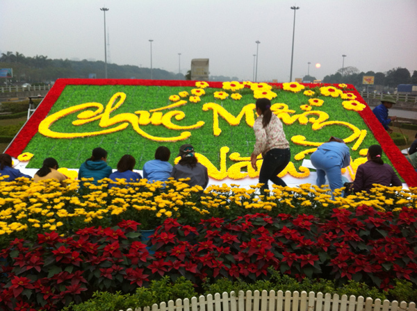 Trang trí hoa lụa