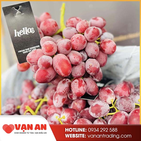 Nho kẹo úc
