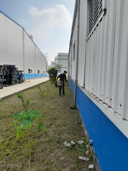 Dịch vụ diệt côn trùng