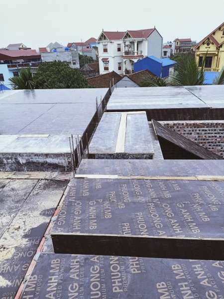 Ván ép phủ phim 12mm