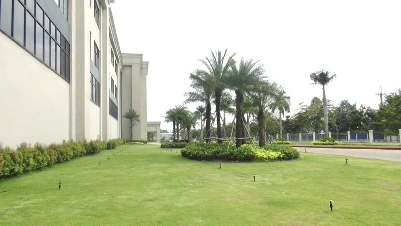 Trồng cây xanh