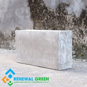 Gạch Bê Tông Bọt Khí