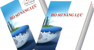 Dịch thuật hồ sơ năng lực