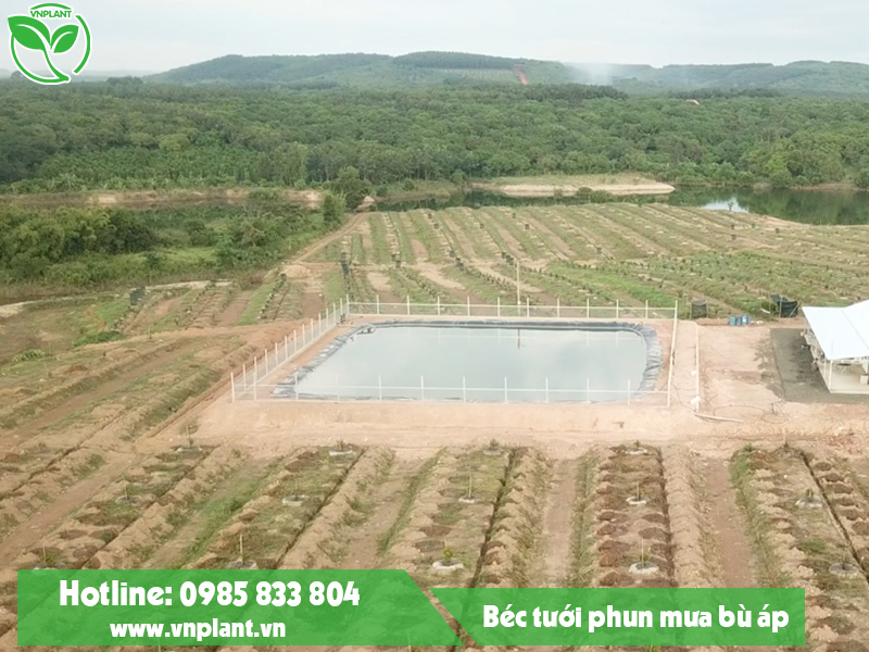 Hệ thống tưới đất đồi dốc
