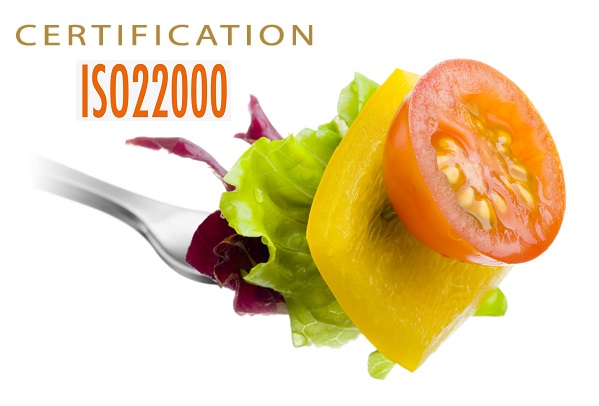 Tư vấn ISO 22000