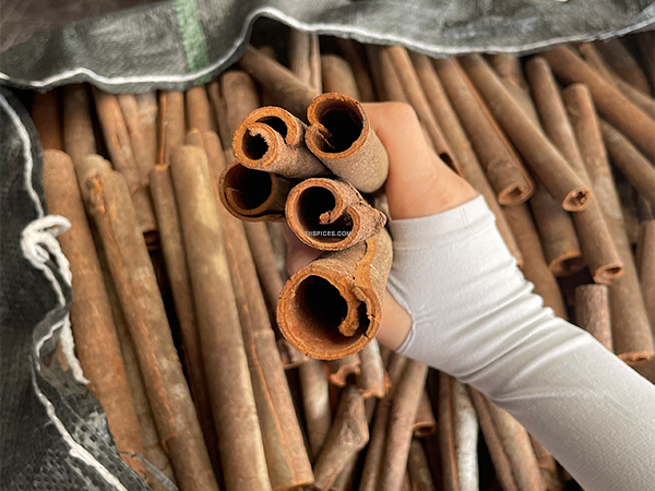Quế ống