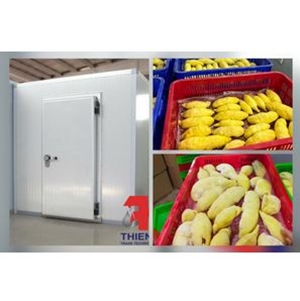 Kho Cấp Đông Nhanh Sầu Riêng, Chanh Dây, Bơ (-35°C đến -45°C)