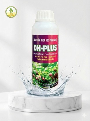 Phân bón ĐH Plus