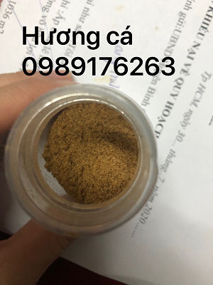 Hương Cá, Hương Sữa Tại TP.HCM
