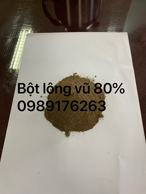 Bột Lông Vũ Tại TP.HCM
