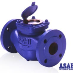 Đồng hồ nước Sanwa