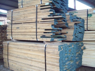 Gỗ Sồi Đỏ