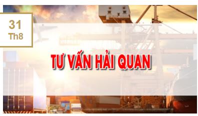 Tư vấn hải quan