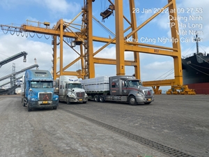 Vận Tải Hàng Gỗ Ván Ép