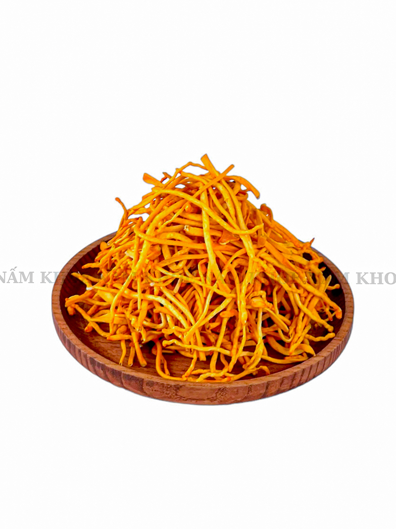 Nấm bắc trùng