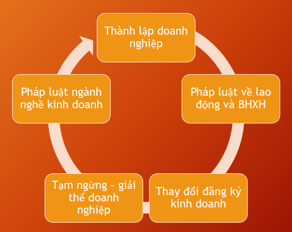 Tư vấn pháp luật, kinh doanh