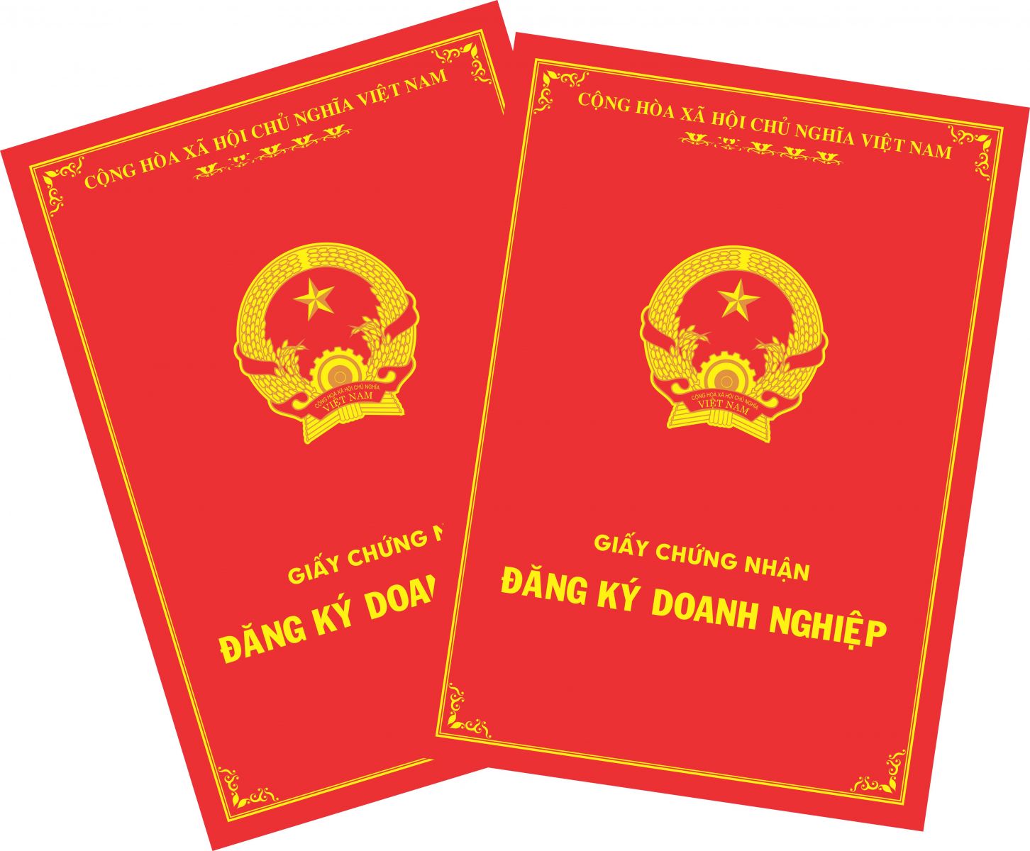 Tư vấn thành lập Doanh nghiệp