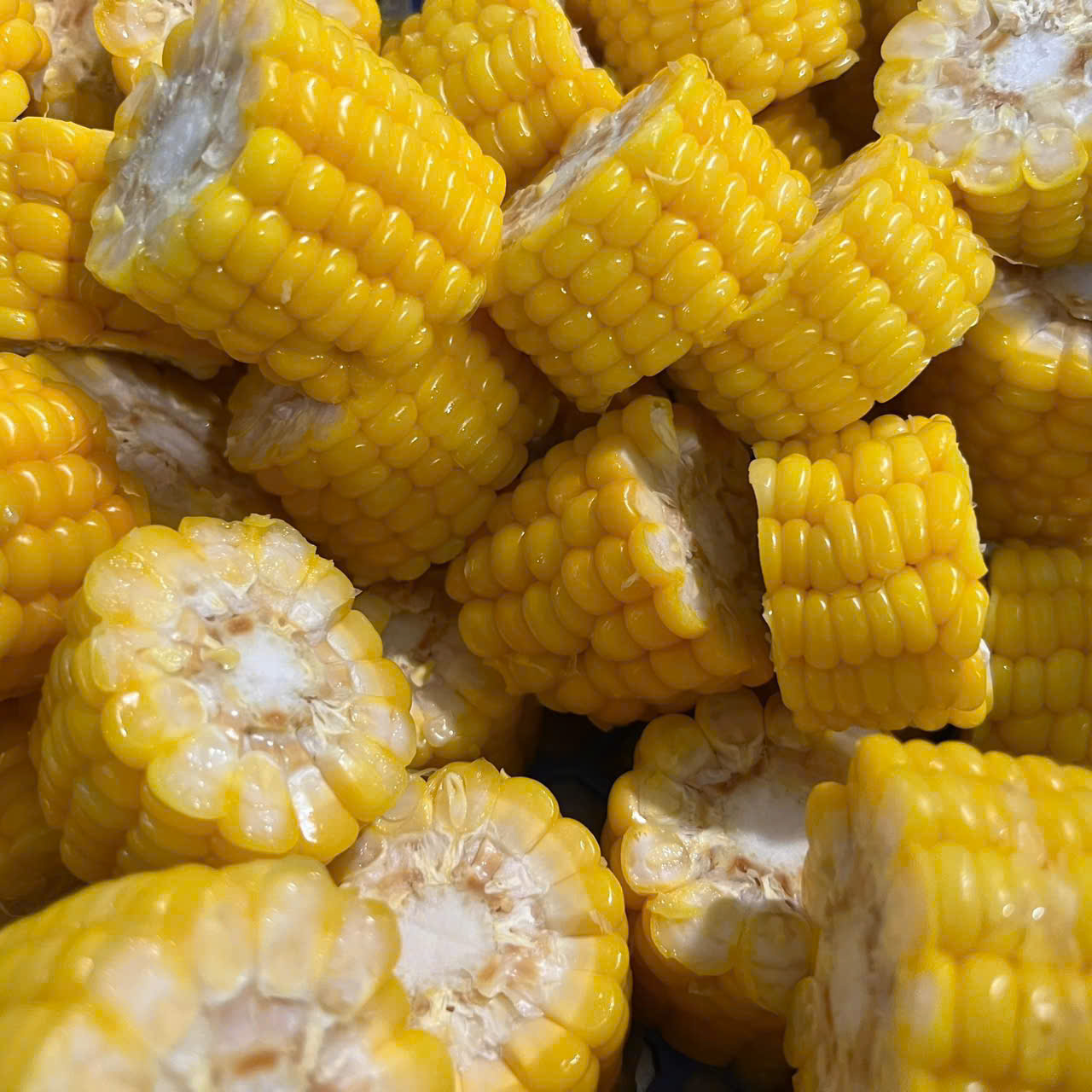 Bắp ngô