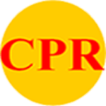 Chi Phat Manufacture & Trading Co., Ltd logo