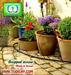 Béc tưới cây nhỏ giọt mũi tên