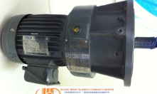 Động cơ giảm tốc Teco