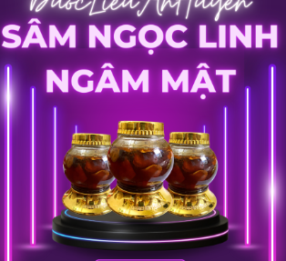 Sâm Ngọc Linh ngâm mật