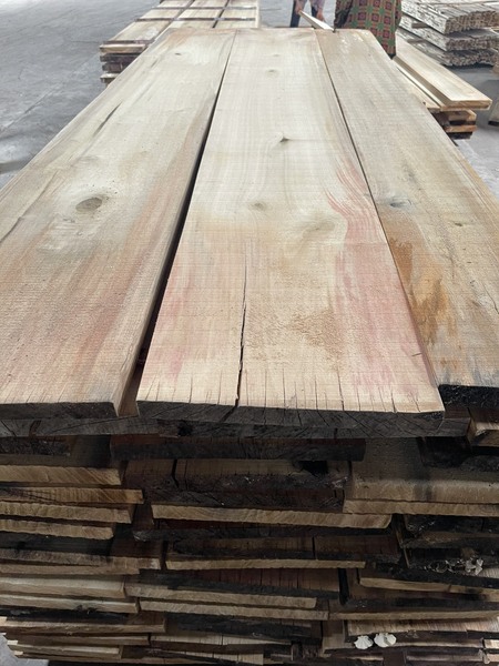 Gỗ poplar xẻ sấy