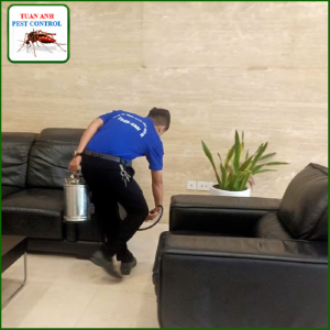 Dịch Vụ Kiểm Soát Chuột
