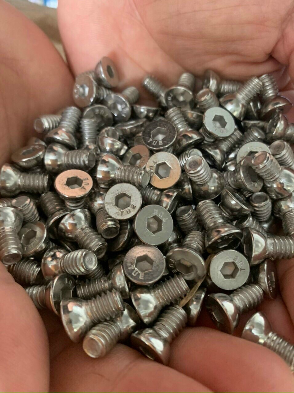 Ốc vĩnh cửu