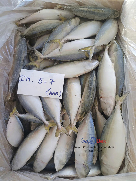 Cá bạc má