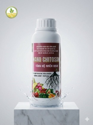 Phân bón Nano Chitosan