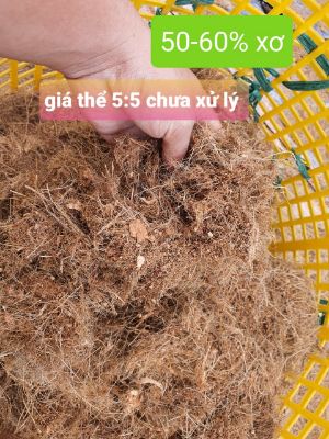 Giá thể GF 5:5