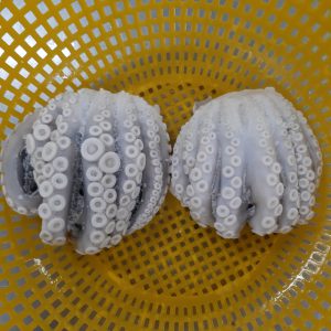 Mực đông lạnh làm sạch nguyên con