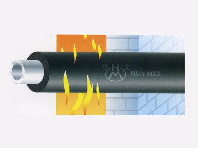 Cao su bảo ôn