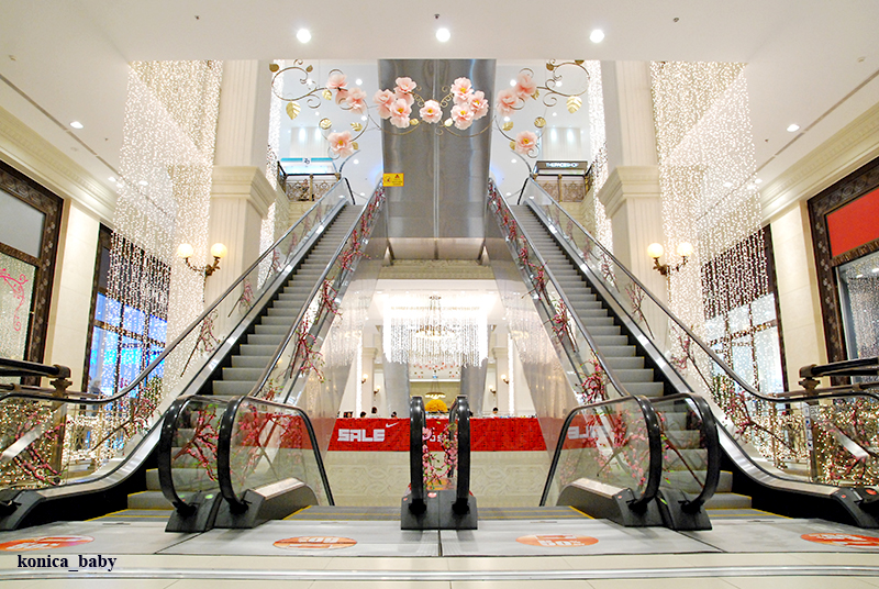 Thang cuốn