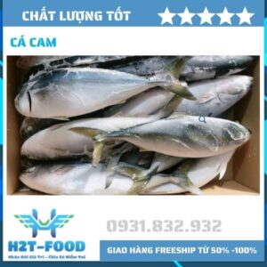 Cá cam Nhật Bản