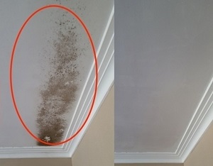 Dịch vụ tẩy mốc công trình cũ