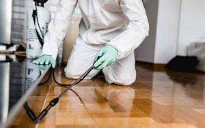Dịch Vụ Kiểm Soát Côn Trùng Tổng Hợp