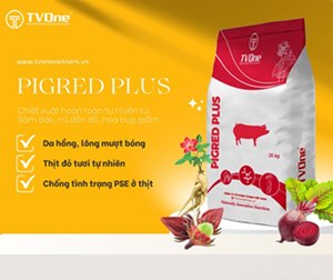 Pigred Plus