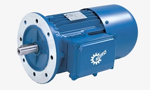 Motor đồng bộ tiêu chuẩn Nord