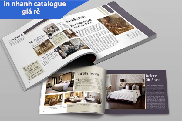 In catalogue