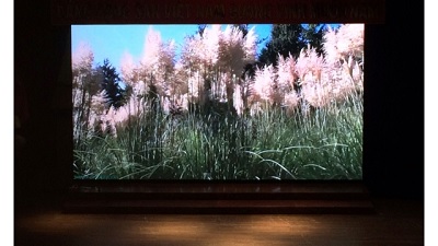 Màn hình LED P4