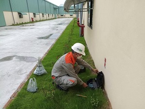Dịch Vụ Kiểm Soát Và Diệt Chuột